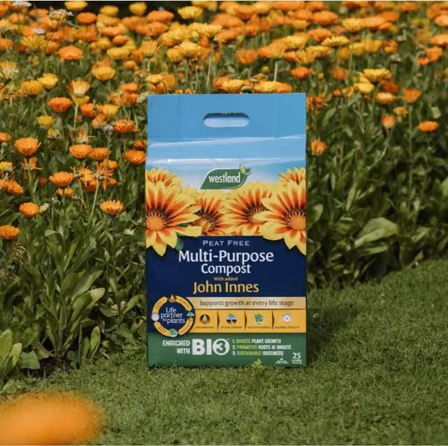 Westland Multi-Purpose Compost with Added John Innes Potting Soil for Ornamental Gardens and Indoor Plants
