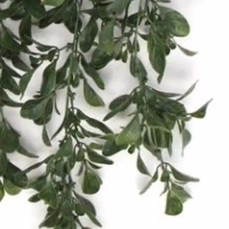 Pack of 6 Green Leaf Artificial Hanging Peperomia Plants, UV and Fire Resistant, 68cm – 2
