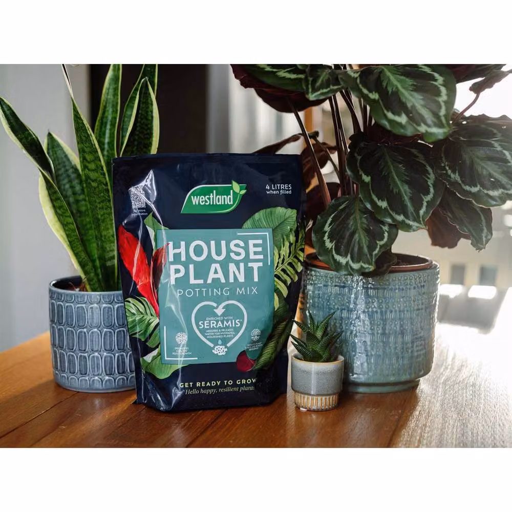 Westland Houseplant Potting Mix 4 l – 2