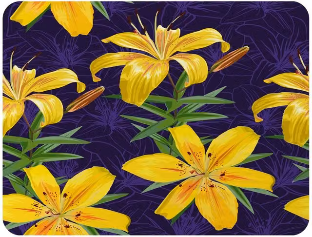 Benjamin Tate Design Yellow Lily Floral Fleece Blanket in Sand and Yellow, W/D/H: 120 x 150 cm – 2