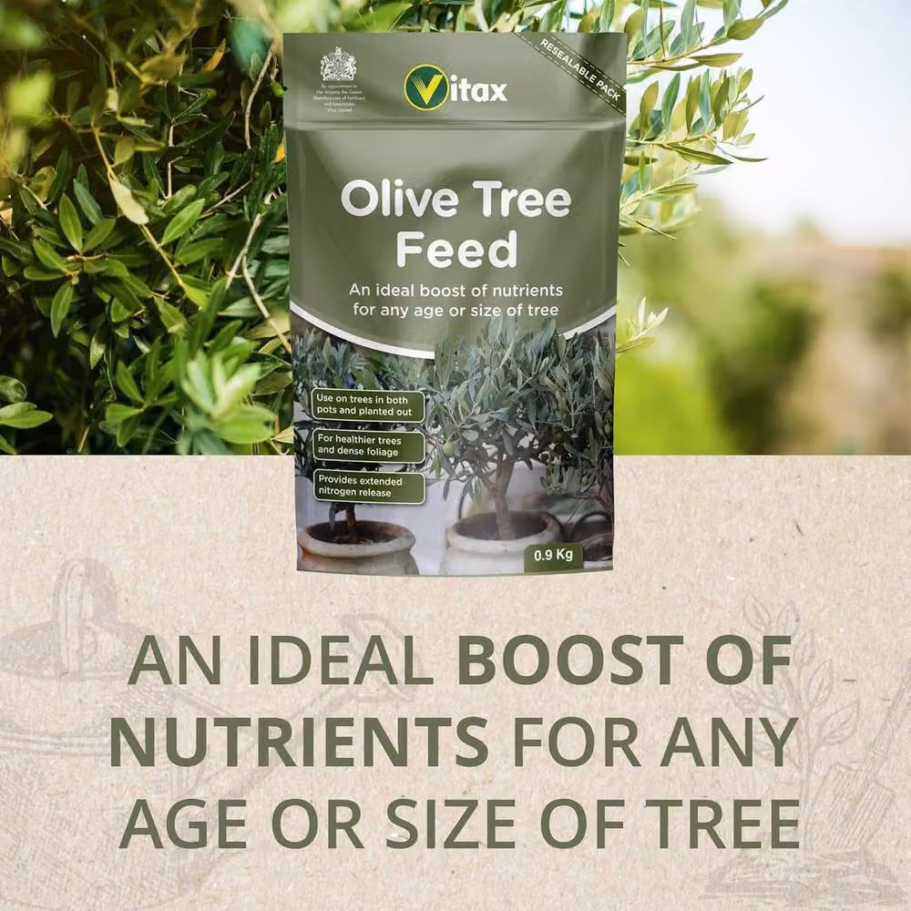 Vitax Slow Release Olive Tree Feed, 900 g – 2