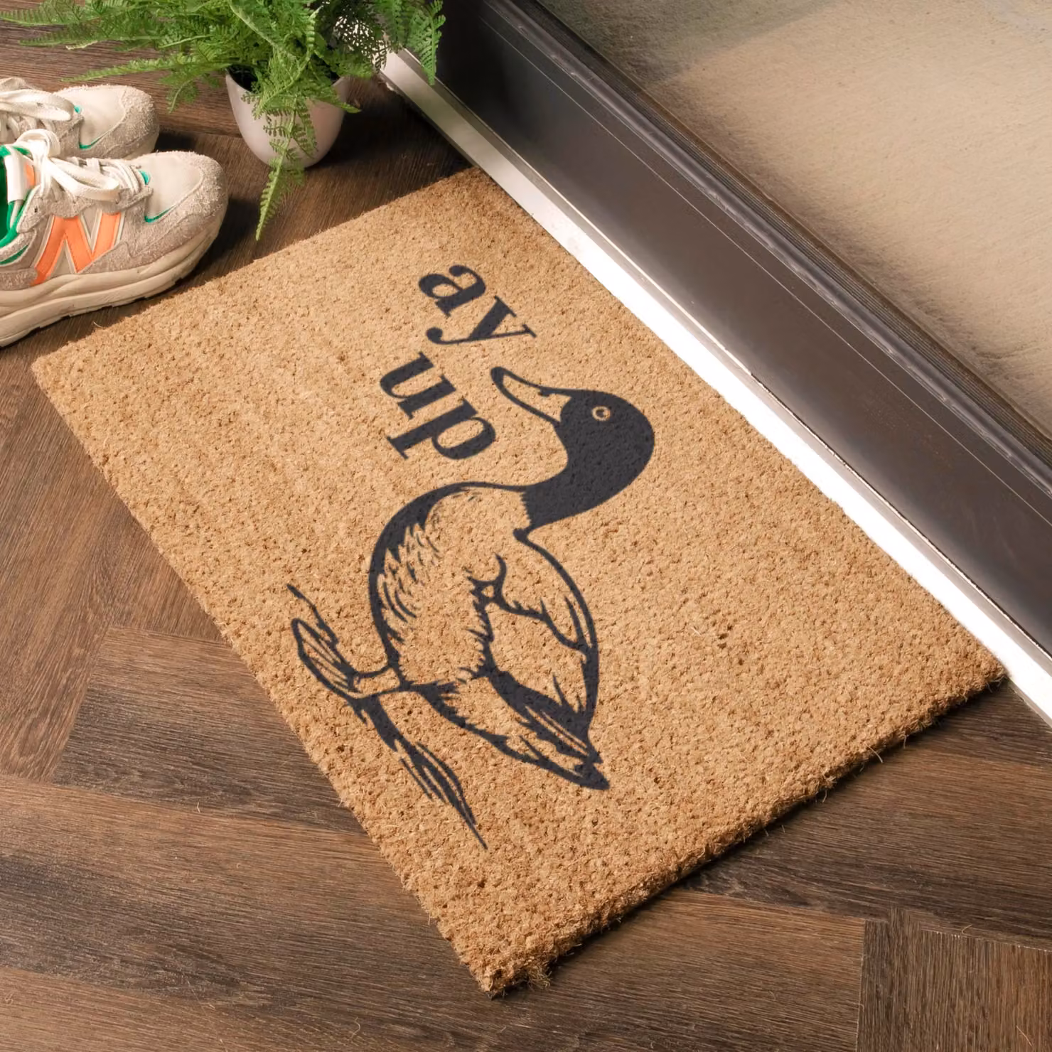 Artsy Mats Ay Up Duck Coir Doormat in Brown, W/D: 60 x 40 cm – 2