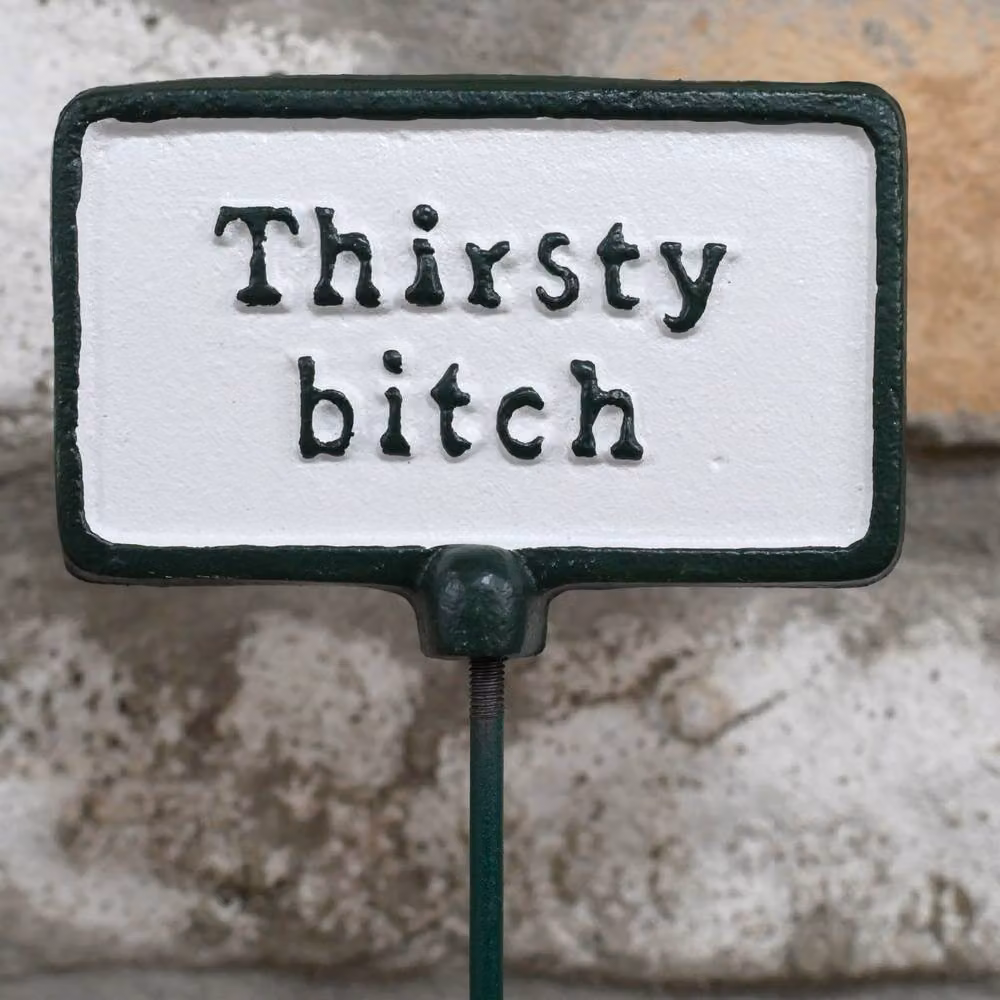Gifts Direct 2 U Thirsty Bitch Metal Garden Stake Plant Sign in Green and White – 3