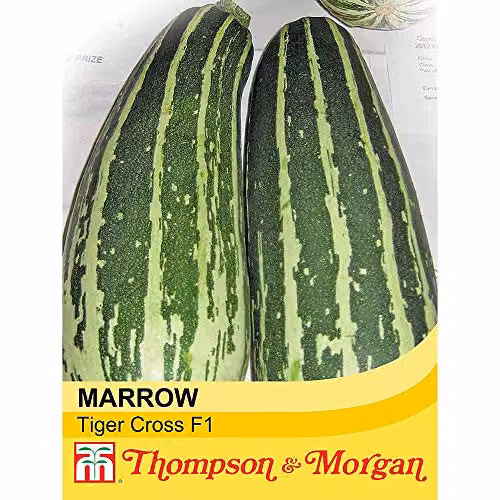 Thompson and Morgan Marrow Tiger Cross F1 Hybrid Half-Hardy Annual Cucurbita Pepo Vegetable Seeds, 12 Seeds
