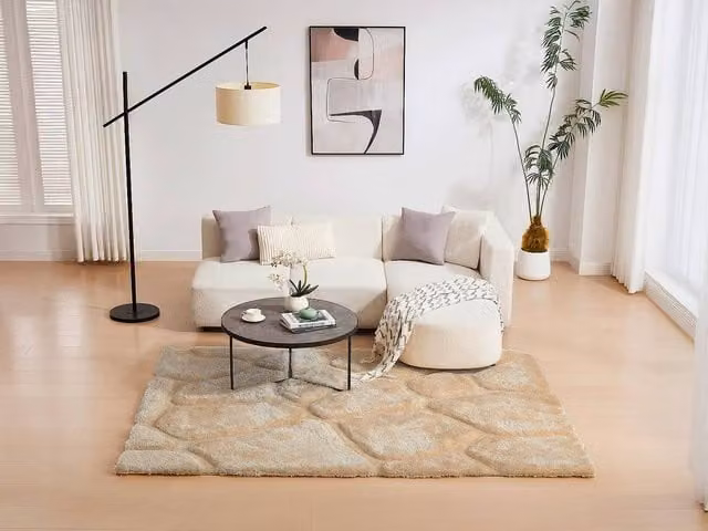 Vente-unique Pietra Long Pile Relief Shaggy Rug in Beige, W/D/H: 160 x 230 x 1 cm – 1
