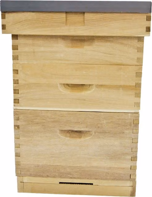 Actiasbee Langstroth Hive in Brown New Zealand Pine