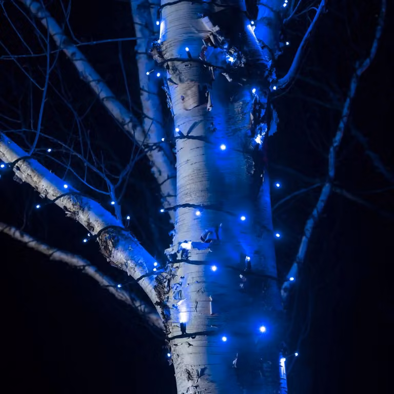 Pro Connect Warm White LED Connectable String Lights with Blue Bulbs and Black Cable, 165m