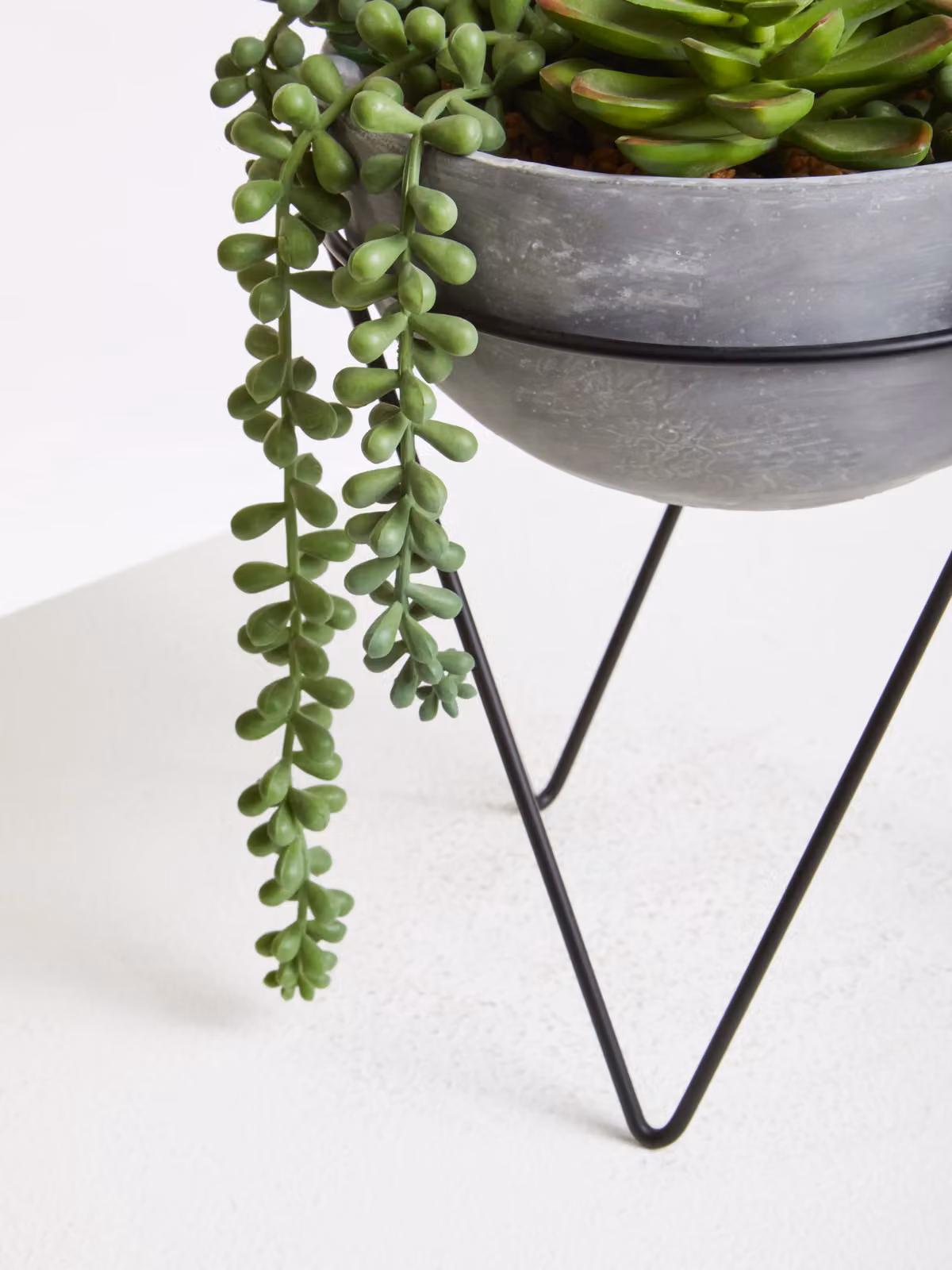 Fiori Modern Potted Mixed Succulent with Metal Stand and Ceramic Pot in Grey and Black – 2