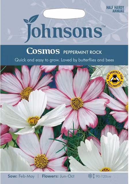 Johnsons Cosmos Peppermint Rock Pink Ornamental Flower Seeds