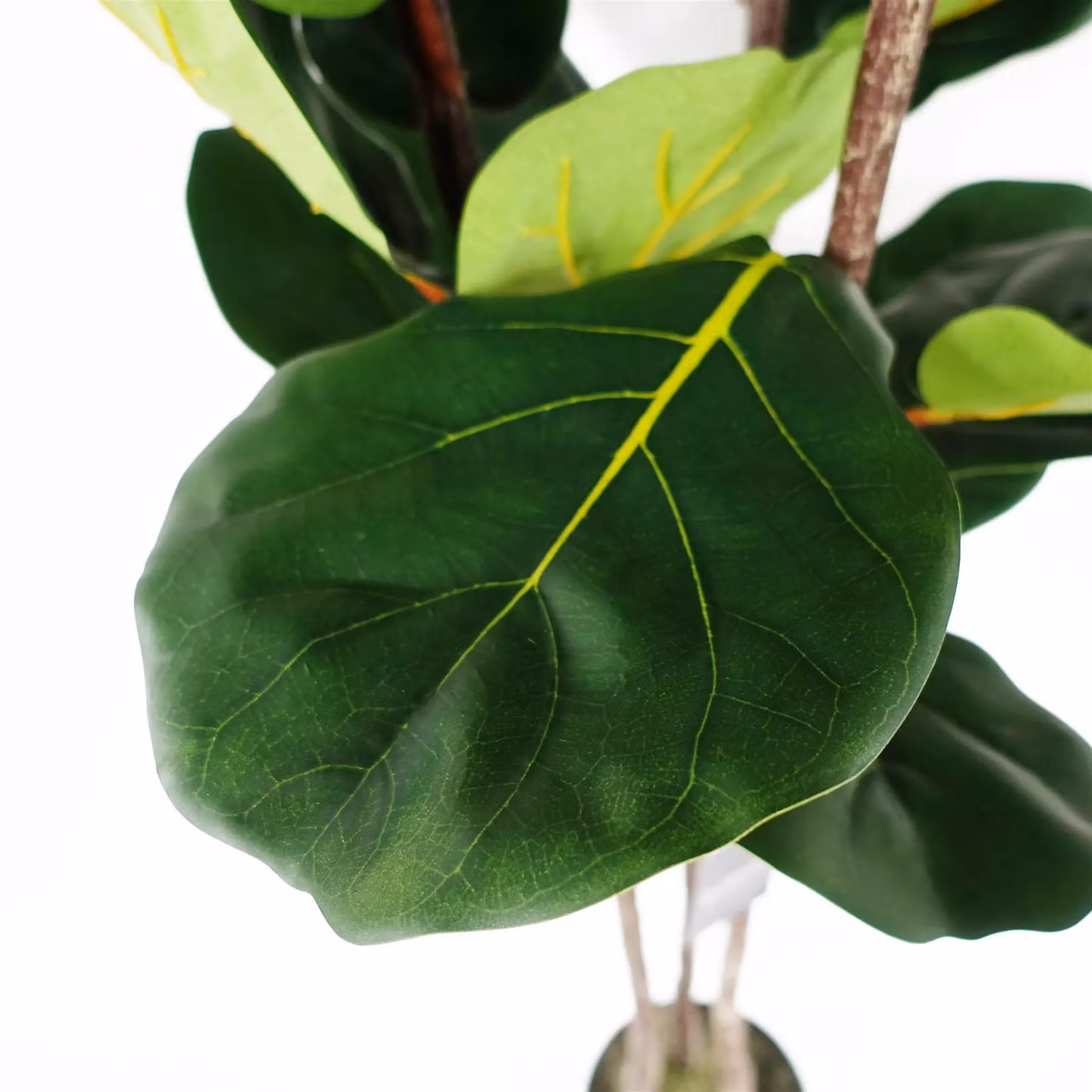 Botanik UK Green Premium Artificial Fiddle Fig Tree, Height: 120 cm – 2