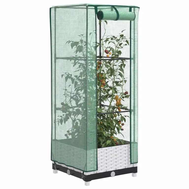 Berkfield Home Raised Bed with Greenhouse Cover in White Rattan Look, W/D/H: 40 x 40 x 123 cm