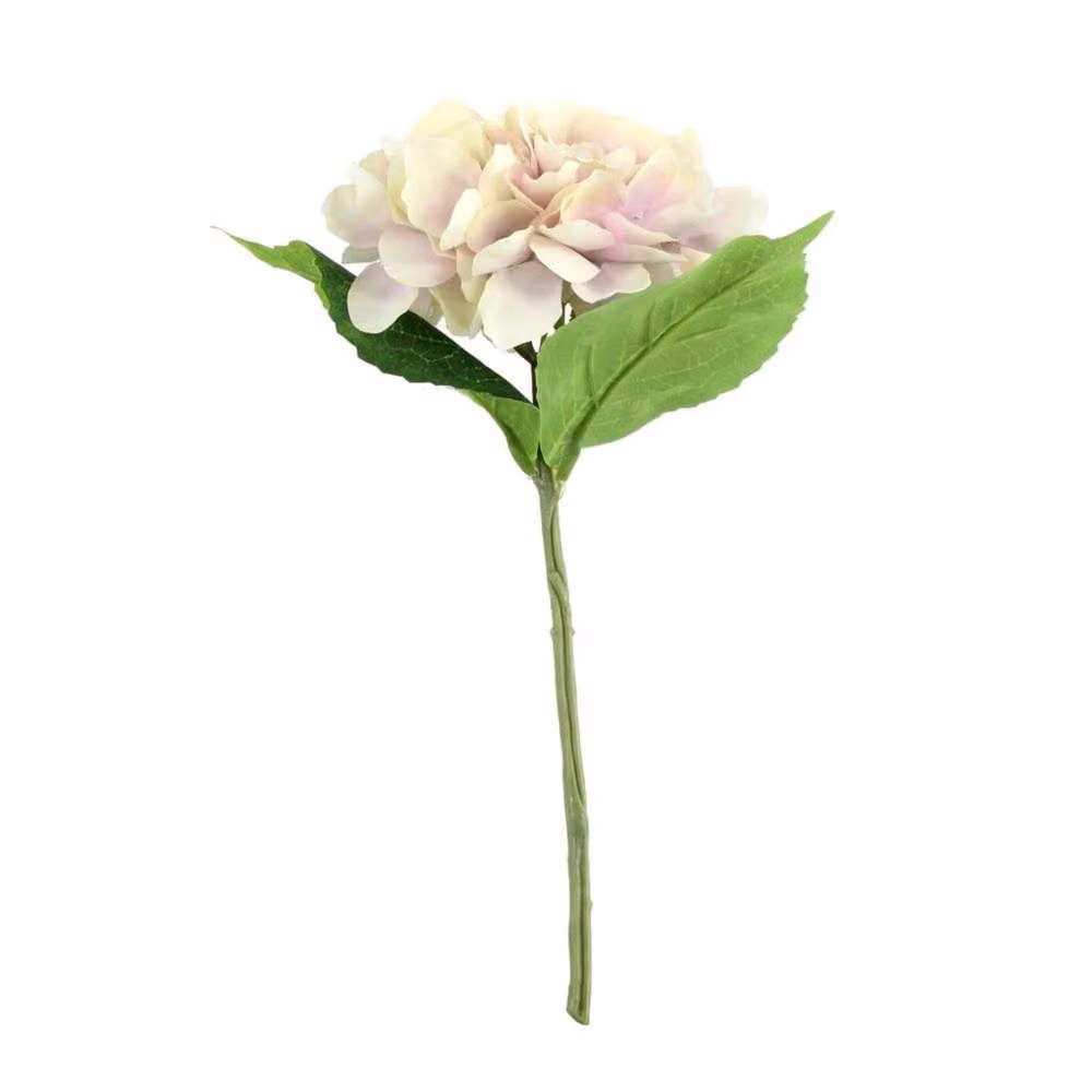 KDMD Cream, Lavender and Multicolour Arundel Hydrangea 5 Pack – 2