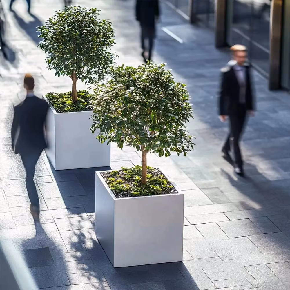 Tulipy Galvanised Steel Square Planter Tub, Matte White, W: 60 cm, D: 60 cm, H: 60 cm – 6