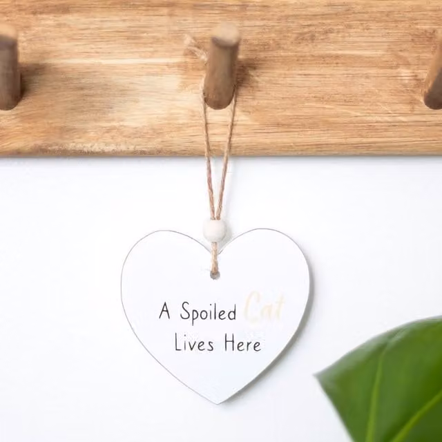 Kingsbury Gifts Small White Hanging Heart Wall Plaque A Spoiled Cat