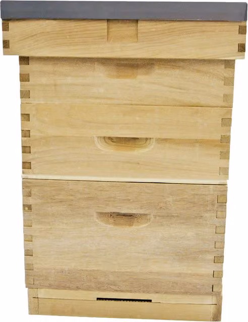 Actiasbee Langstroth Hive in Brown New Zealand Pine