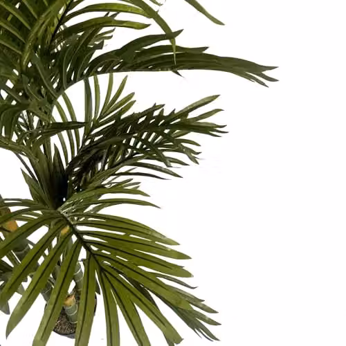 Leaf Design UK Green Artificial Tropical Palm Tree, Height: 180 cm – 3