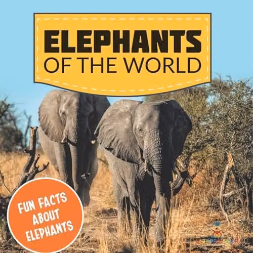 Baby Professor Elephants of the World: Fun Facts About Elephants Multicolour Paper Book