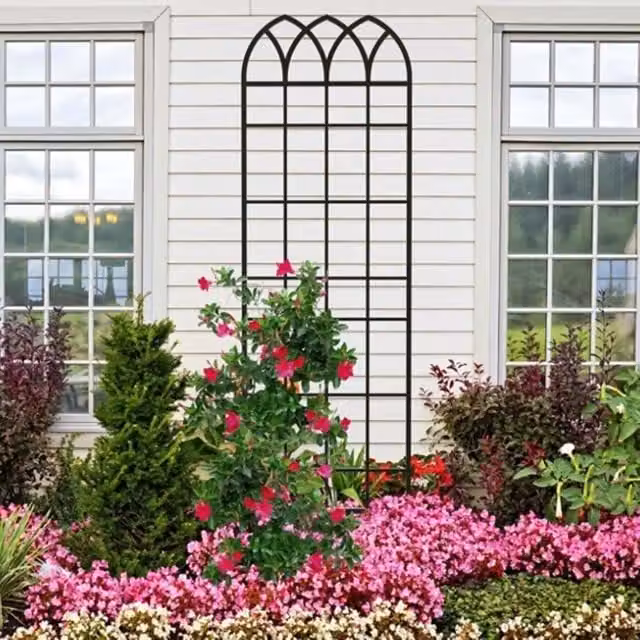 Primrose Black Metal Gothic Archway Garden Trellis Plant Support, Height: 183 cm