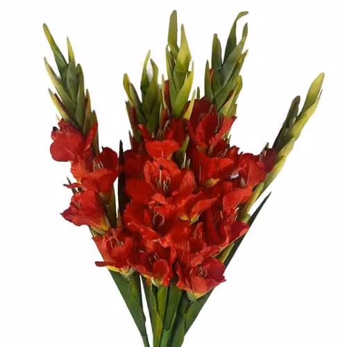 Leaf UK Set of 6 Artificial Orange and Red Gladioli Stems, Height: 115 cm – 2