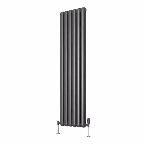 Reina Coneva Designer Vertical Radiator in Anthracite Grey, H: 150.0 cm, W: 51.0 cm, D: 5.1 cm