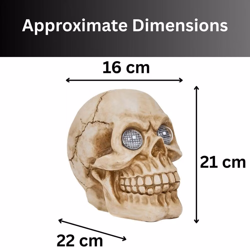 Marco Paul LED Blinking Skull Halloween Tabletop Decoration in White/Beige, Height: 21 cm – 2