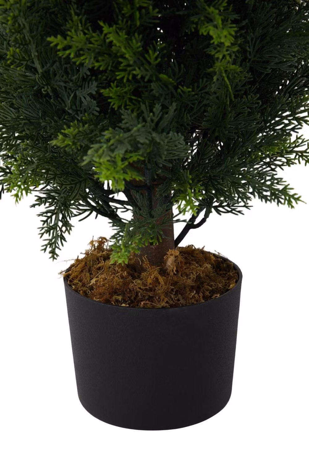 Garden Sanctuary Tabletop Artificial Cypress Tree in Green and Black Pot – 6