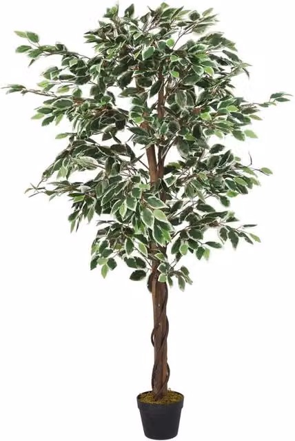 Berkfield Home Artificial Ficus Tree, Green, Height: 150 cm – 1