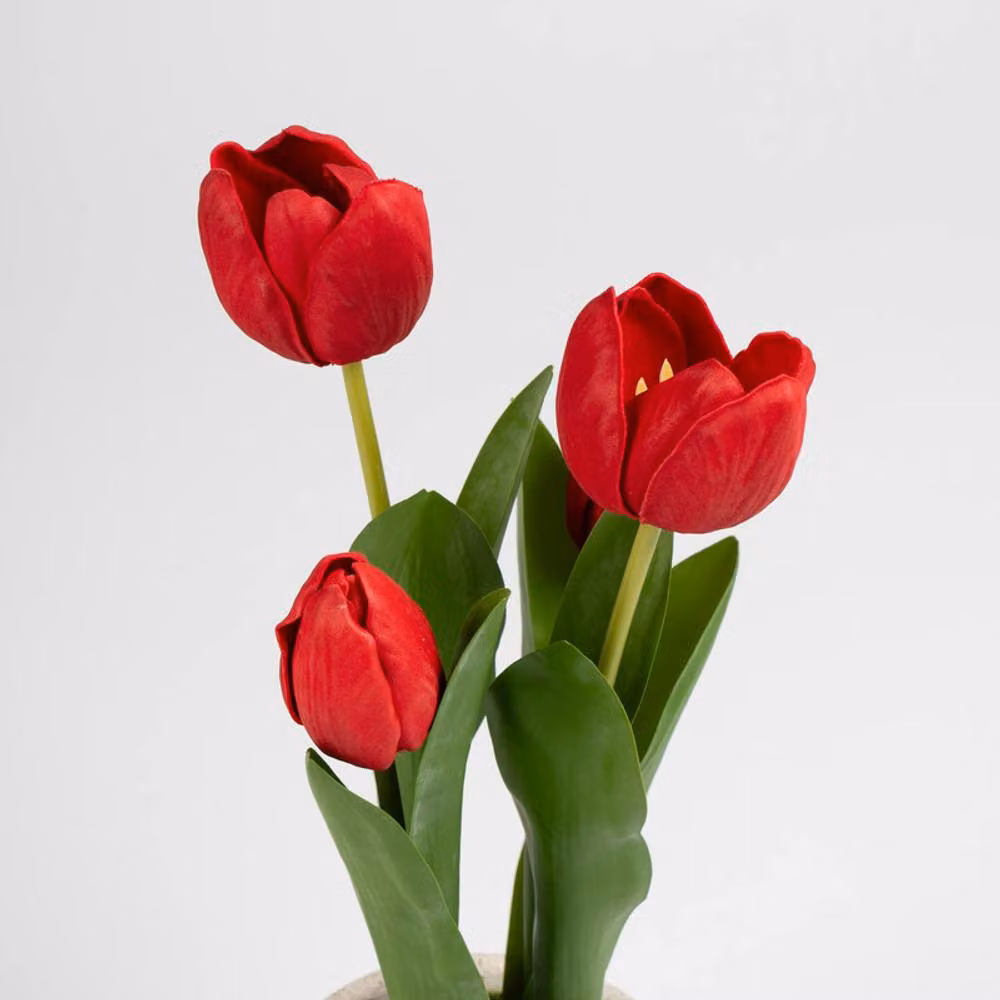 Scottish Everlastings Ltd Red Tulips in a Round Concrete Pot, Height: 36 cm – 2