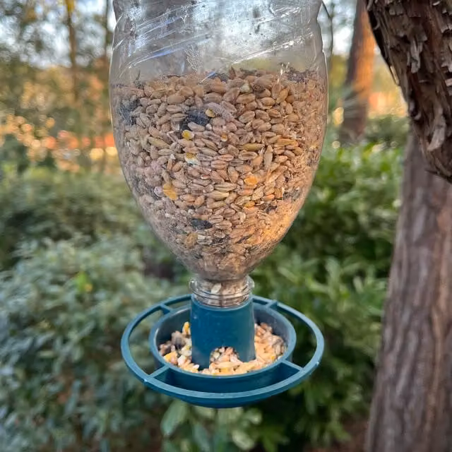 Selections Green Plastic Bottle Top Bird Seed Feeder