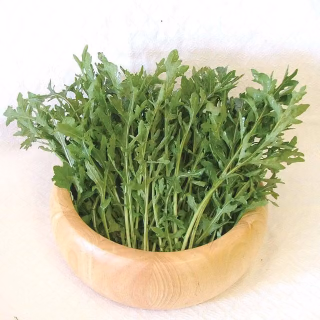 Unwins Astra Rocket Vegetable Seeds, Green