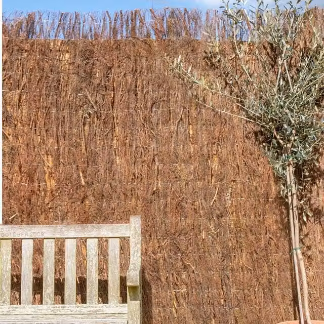 Primrose Brushwood Heather Thatch Natural Screening Roll, Brown, W: 300 cm, H: 200 cm