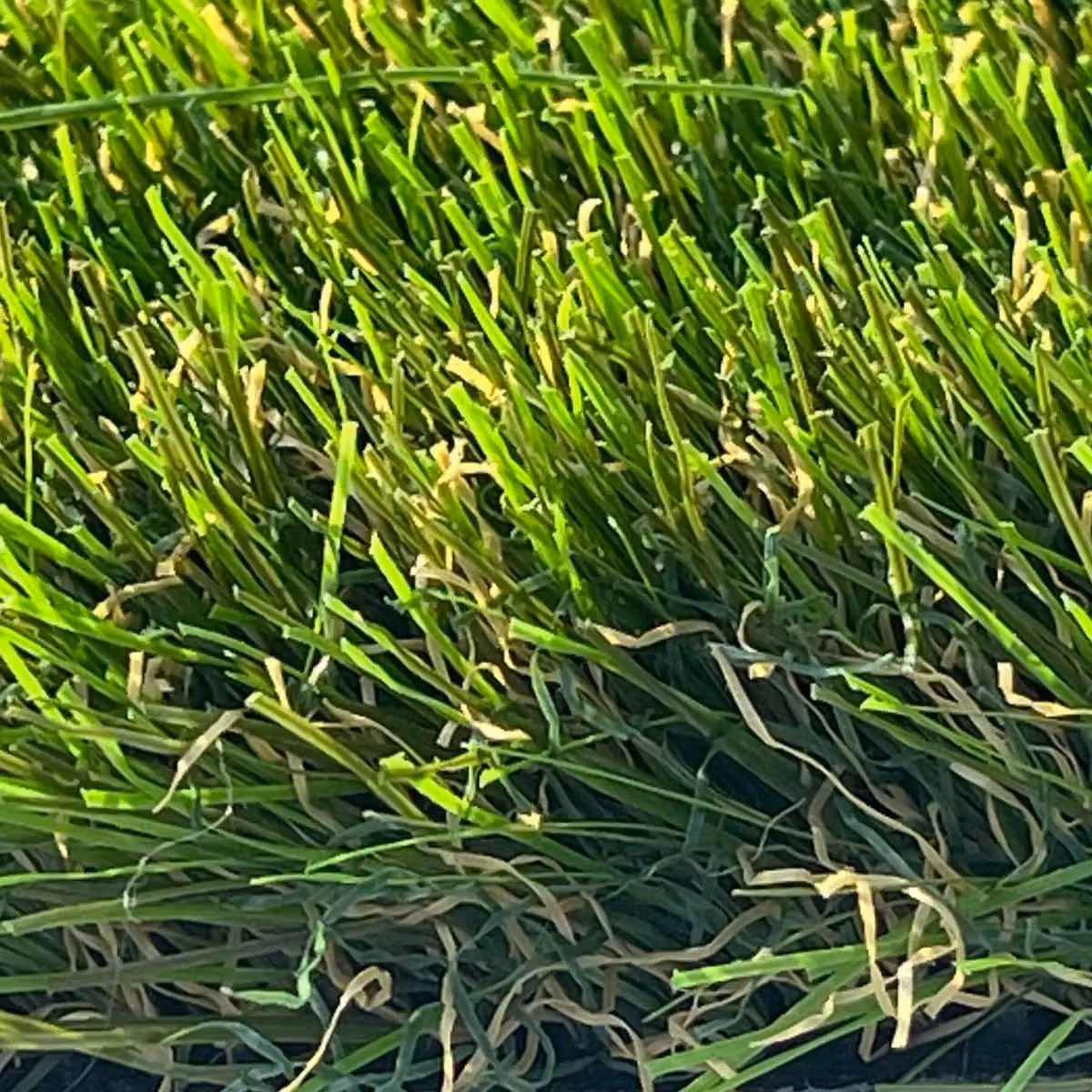 Artificial Grass GB 40mm Artificial Grass in Green, W: 400 cm, L: 800 cm – 4