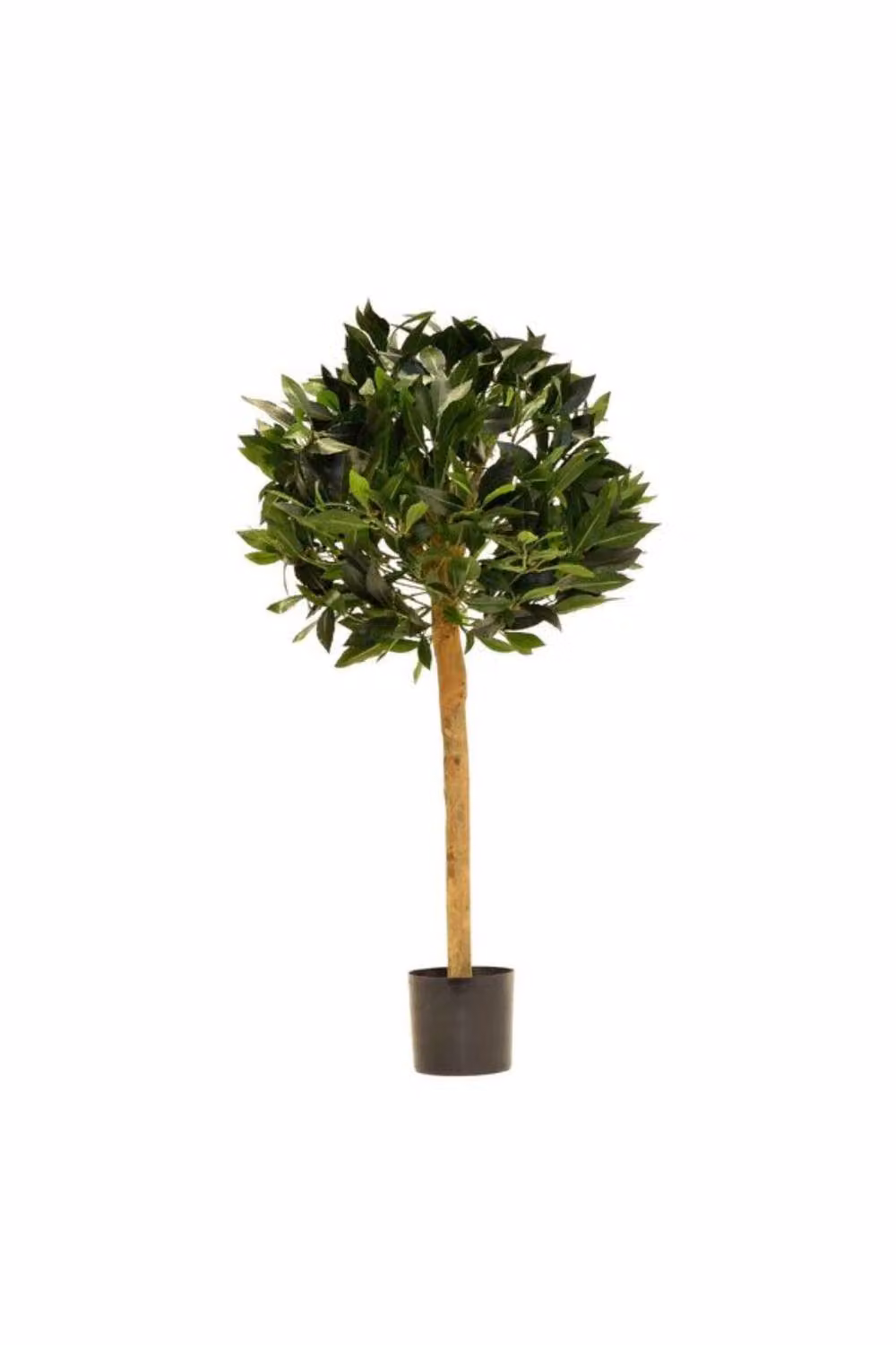 KDMD Green Bay Ball Potted Tree, Green, 2.5ft – 2