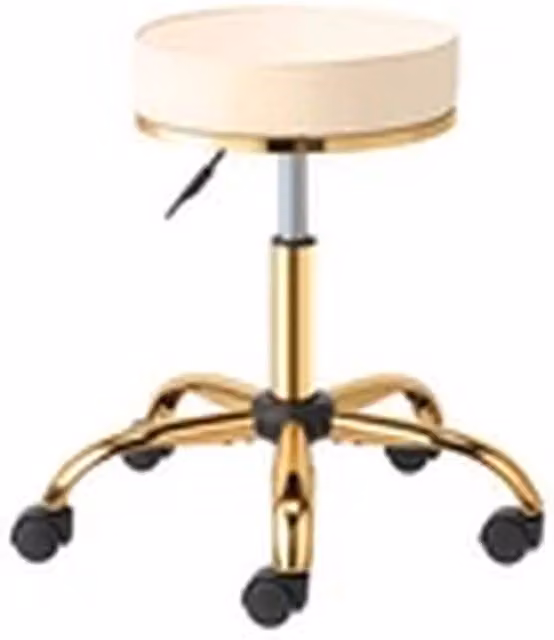 EONLION Adjustable 360 Degree Swivel Salon Stool with Gold Base in Beige
