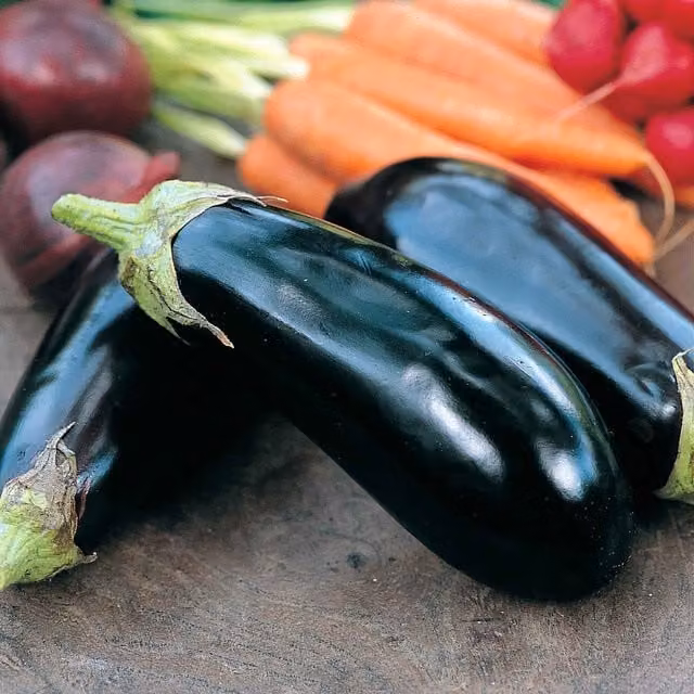 Marshalls Garden Moneymaker F1 Aubergine Purple Vegetable Seeds