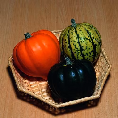 Thompson & Morgan Squash Celebration F1 Vegetable Seeds, 5 Seeds per Packet