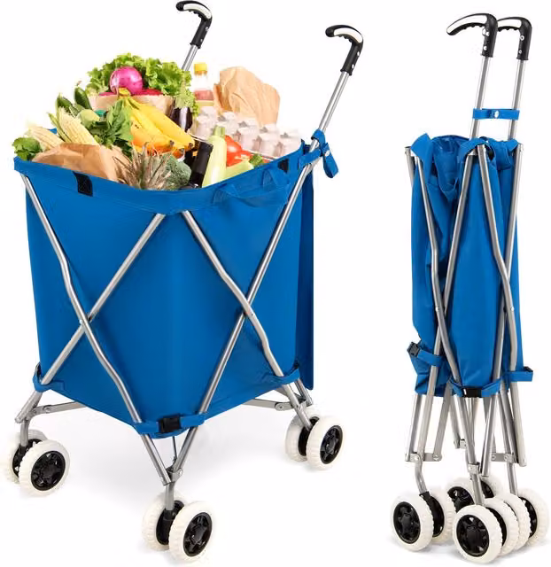 Costway Grocery Cart in Blue