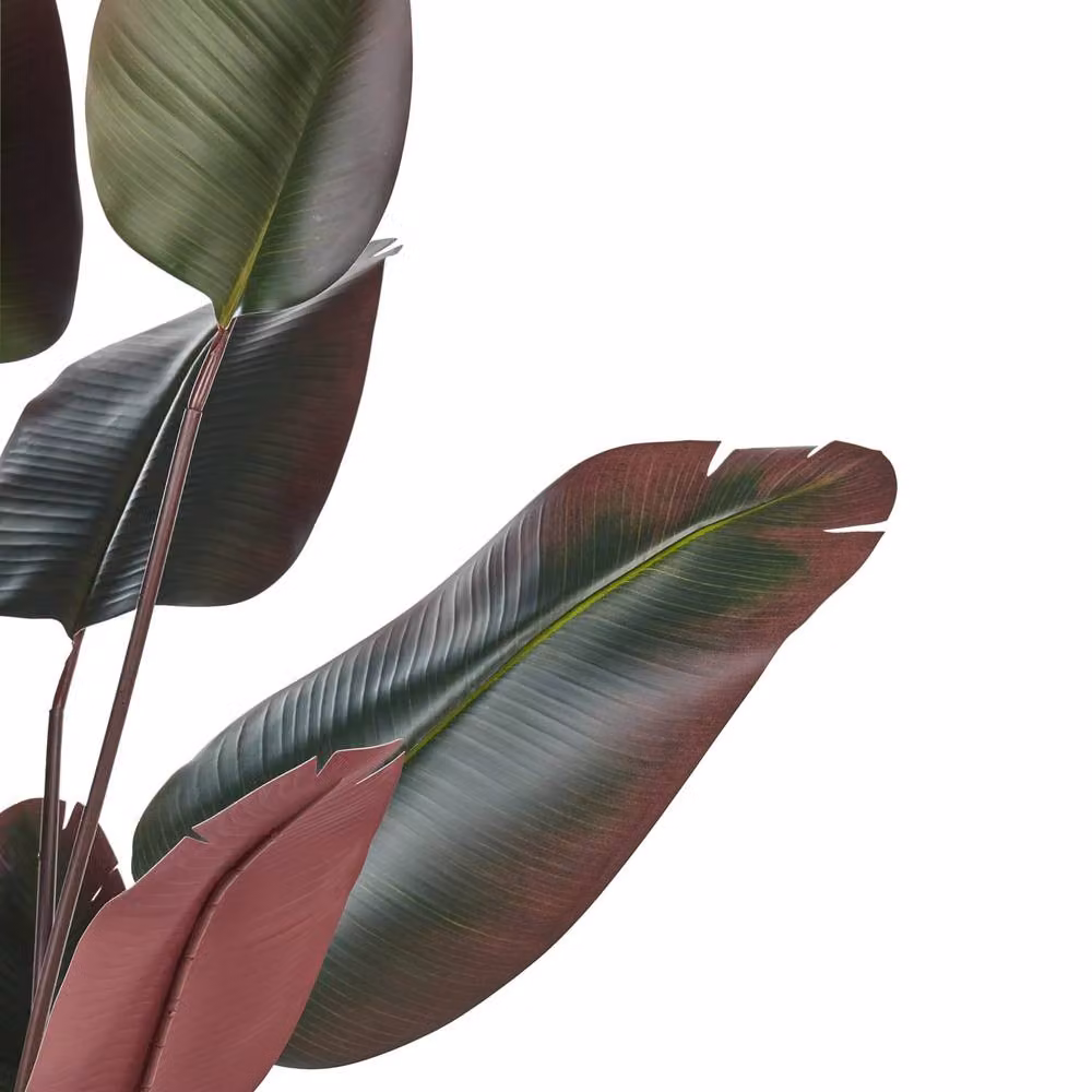 Wyld and Coco Artificial Banana Tree in Green and Black, Height: 170 cm – 2