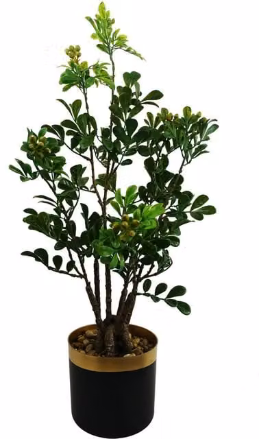 Aglaia Green Artificial Bonsai Tree in Plastic Display Pot, Height: 30 cm
