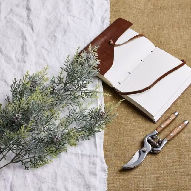 Lemon Pavilion Frosted Pine Tall Stem with Pinecones in White and Green, W27 x D27 x H77 cm – 1