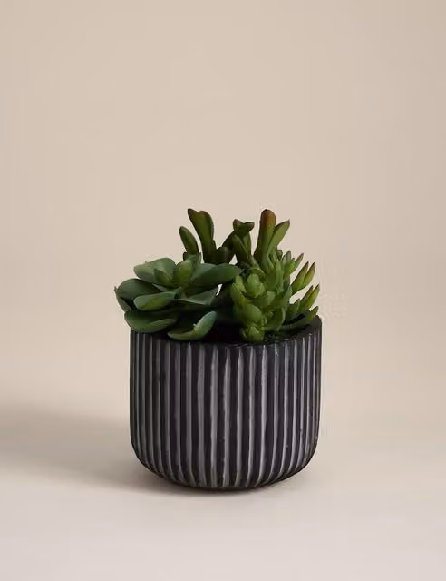 Moss & Sweetpea Modern Artificial Succulents in a Black Ridged Concrete Pot