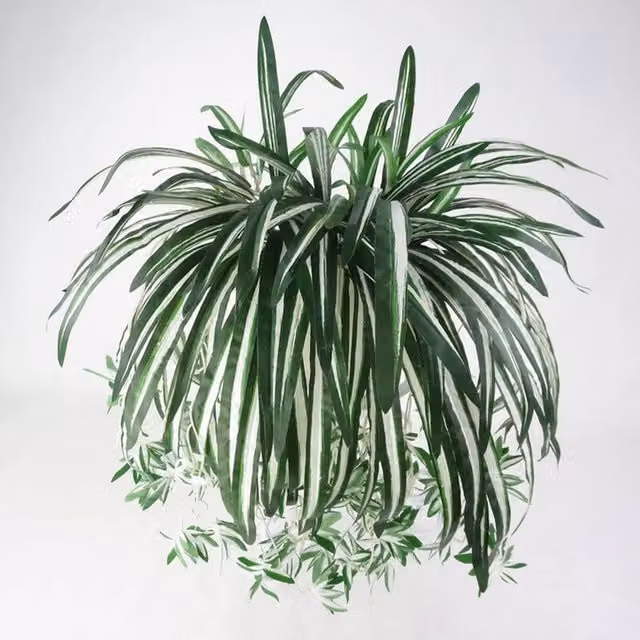 FLAVORA Hanging Artificial Green Chlorophytum Spider Plant, W: 15 cm, H: 100 cm