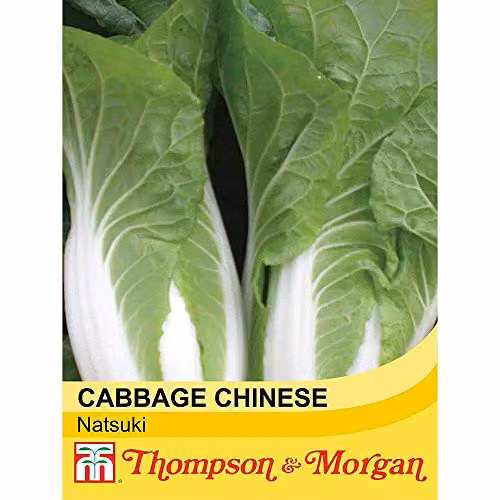 Thompson and Morgan Chinese Cabbage Natsuki Seeds, 30 Seeds per Packet – 2