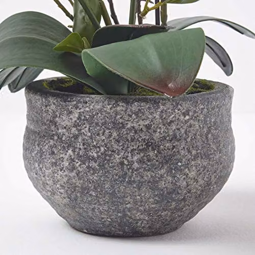 Homescapes Artificial White Orchid in Grey Concrete Pot, Height: 52 cm – 2