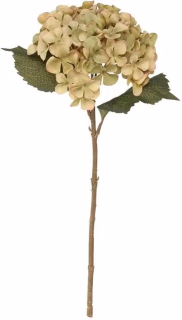 KDMD Balmoral Green Hydrangea, 2 Pack, Height: 45 cm