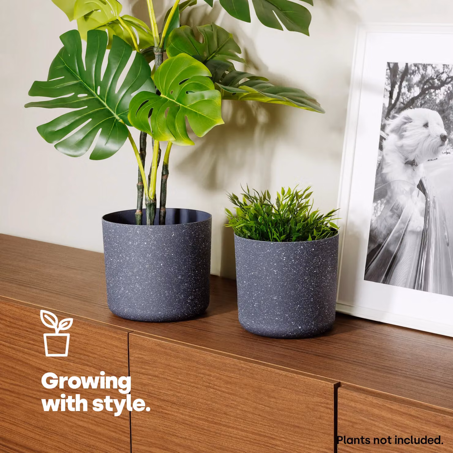LIVIVO Grey Round Plastic Plant Pot with Sandstone Effect, Diameter: 18 cm – 2