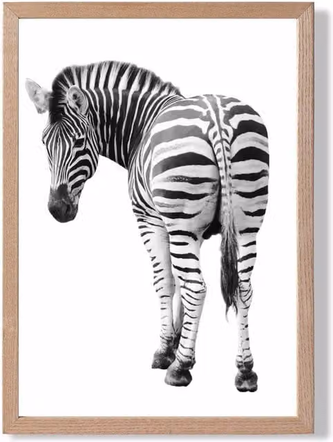 ARTZE Cheeky Zebra Animal Black and White Photo Framed Print with Oak Frame, A3