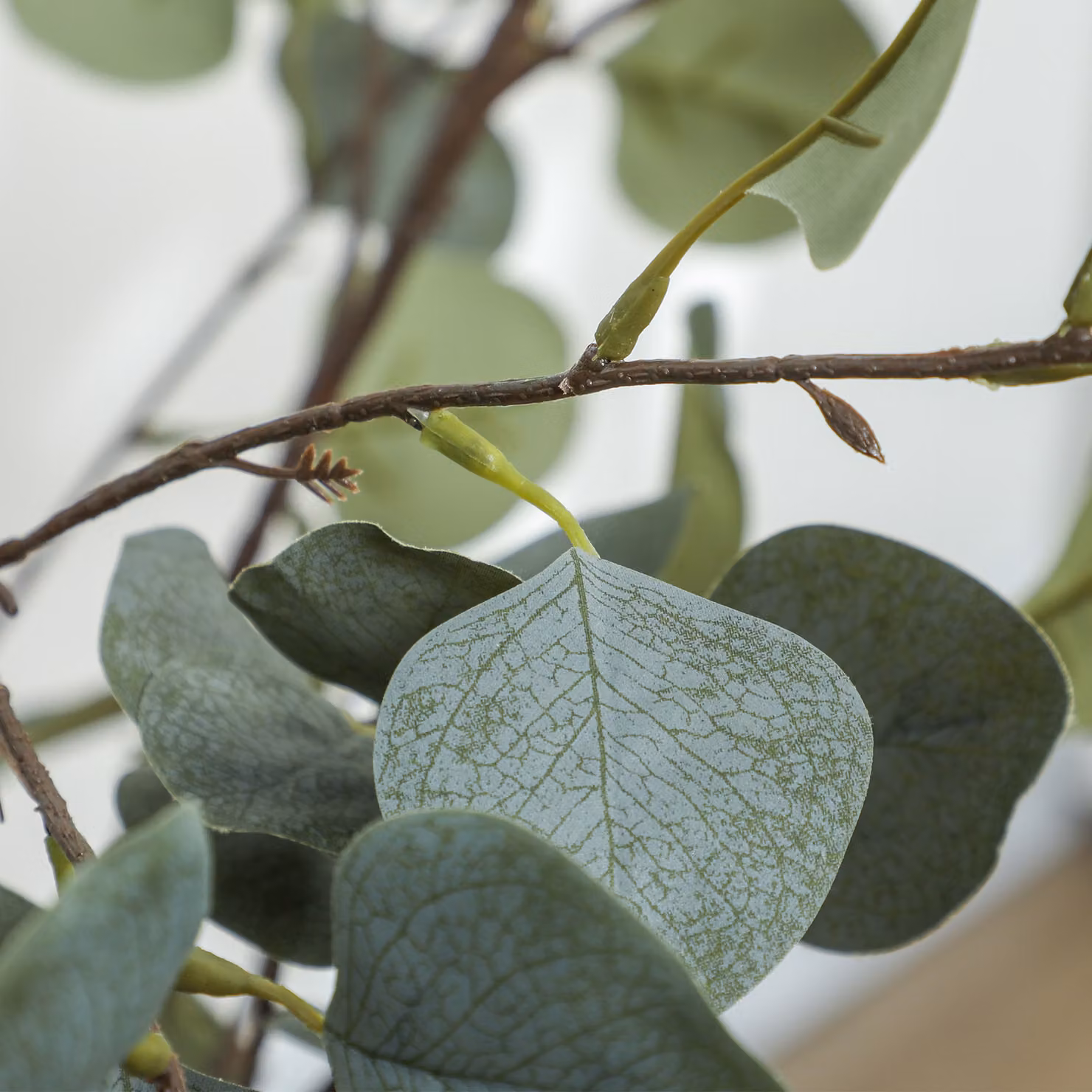 HOMCOM Set of 2 Artificial Green Eucalyptus Trees with 230 Silver Dollar Leaves, Height: 120 cm – 6