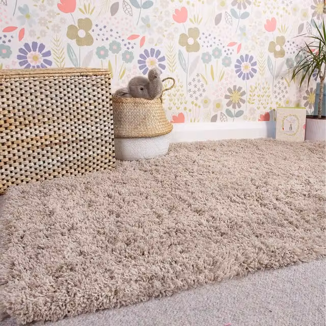 The Rug House Super Soft Shaggy Pile Living Area Rug in Beige, W: 110 cm, D: 60 cm