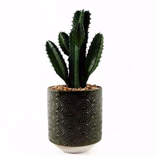 Leaf Design UK Realistic Green Cactus Succulent in a Round Ceramic Planter, Height: 23 cm